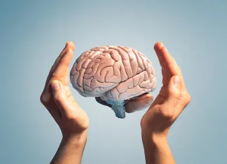 Brain