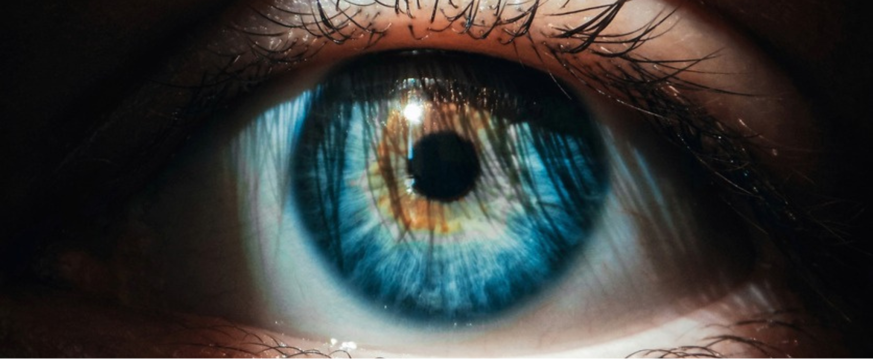 Close up of human eye