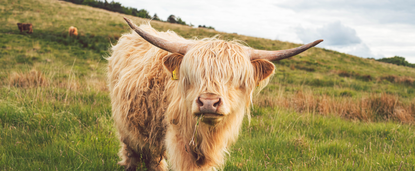 Our Health Partners Academy is now accepting applications, offering a fantastic opportunity to join our Trainee Remote Case Manager programme.