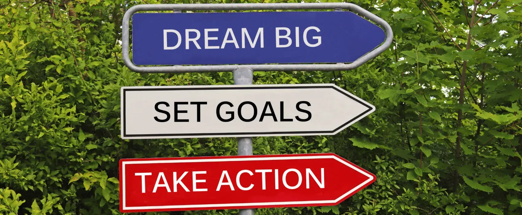 Dream big road sign