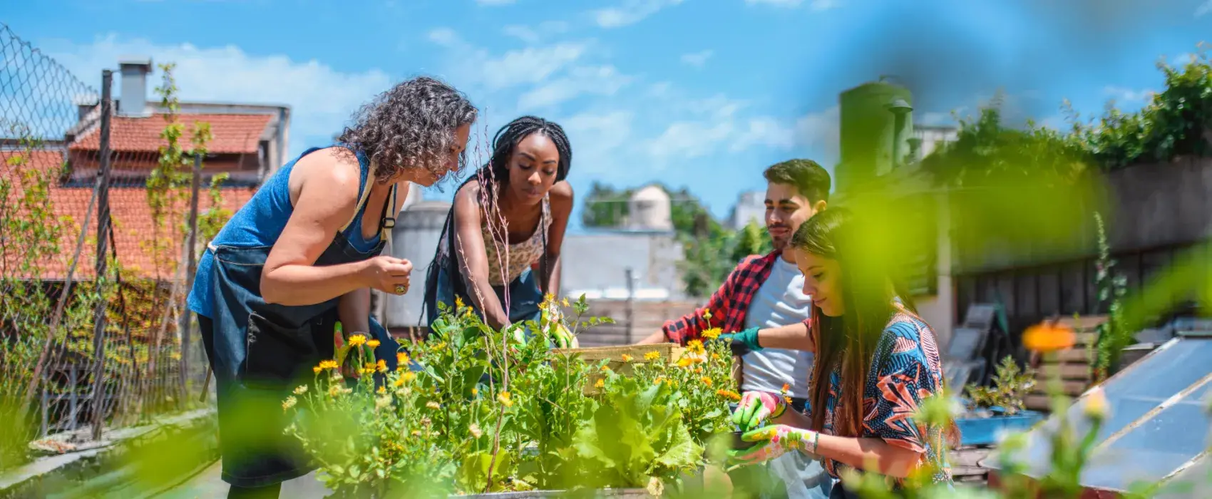 Community gardening