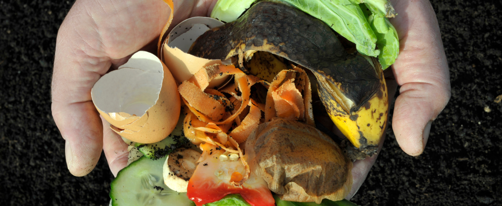vegetable scraps in hands