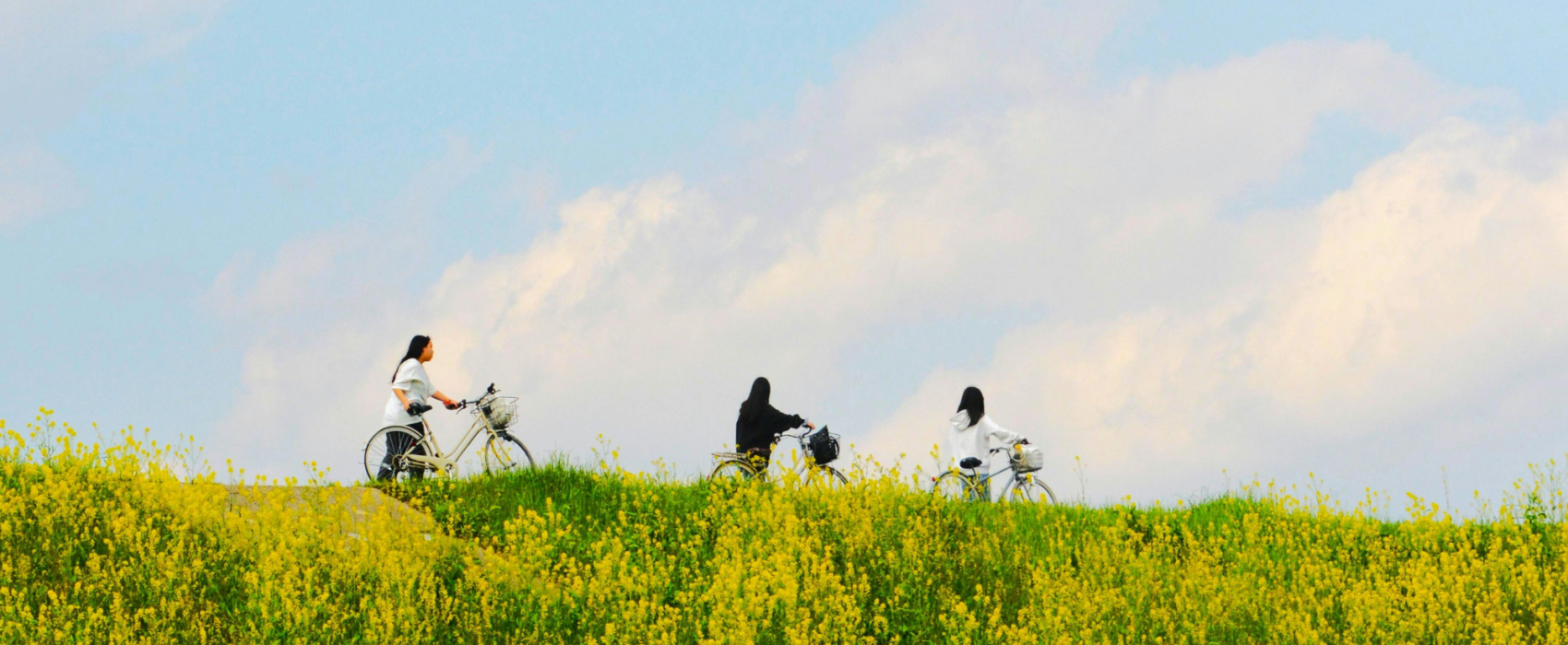 3 woman cycling
