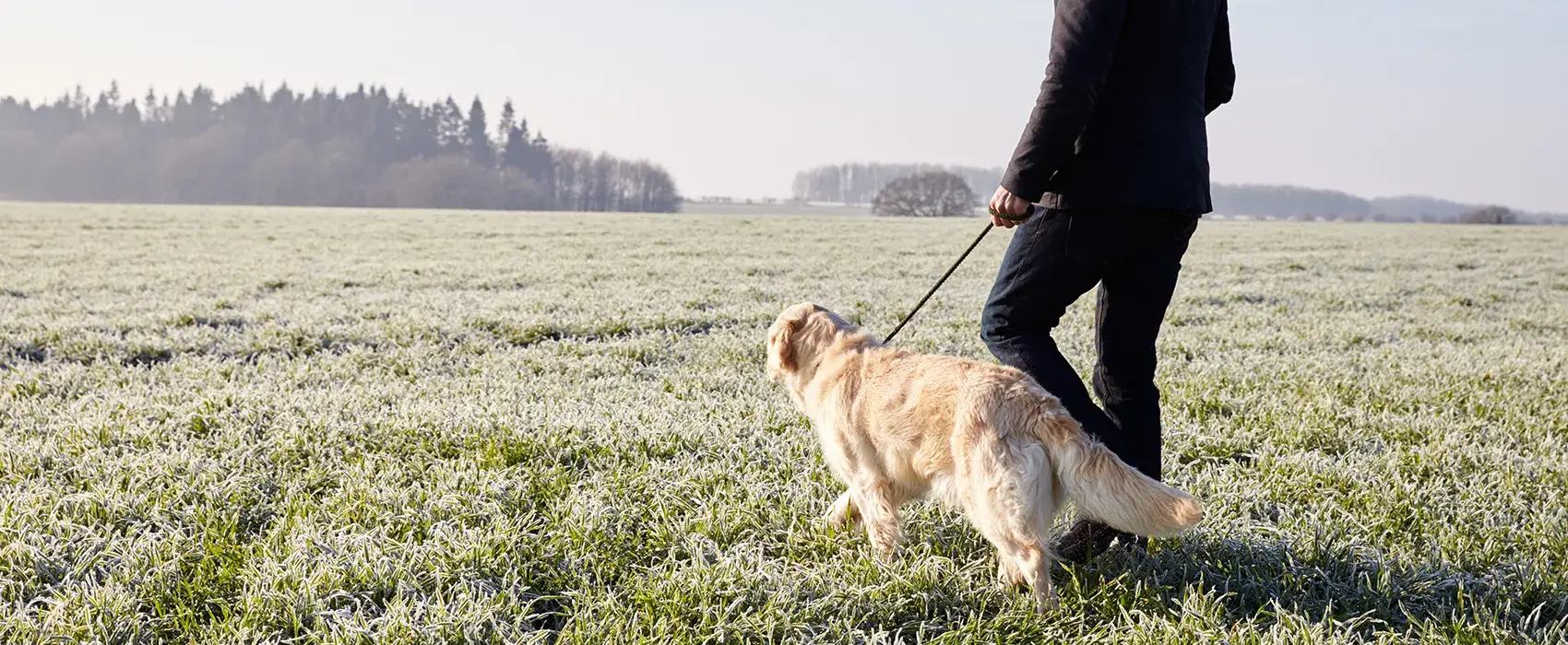 Man walking a dog
